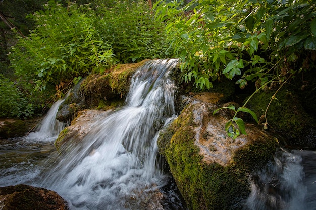 nascente-do-rio-mundial_646747-81